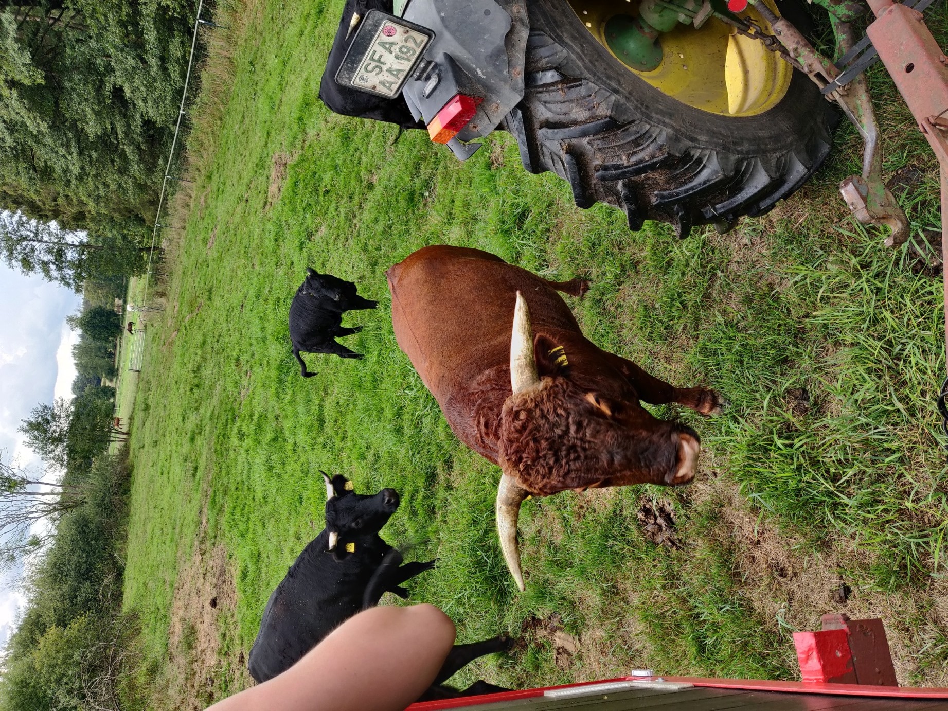 2022 09 10 Familien Fahrradtour 064