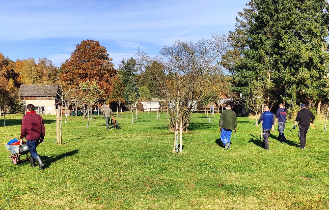 2024 10 26 Herbst Streuobstwiese 19