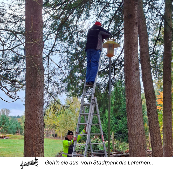 2026 10 24 Streuobstwiese Kürbisschnitzen 39 A